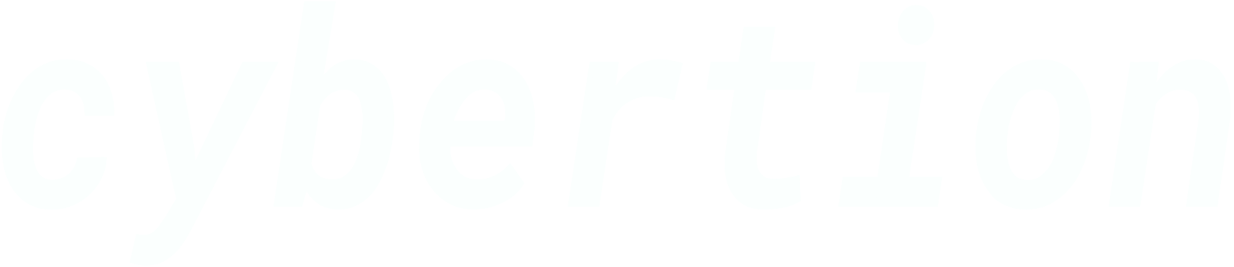 Cybertion